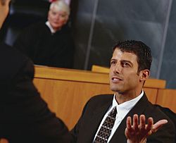 expert witness