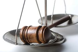 litigation support